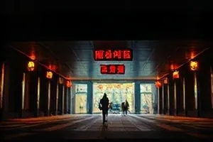 实时票房看板横向全景：大盘曲线与场次热度并列展示
